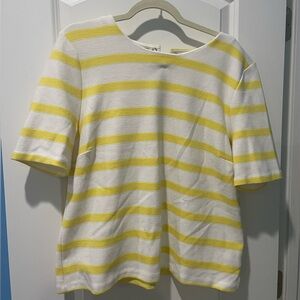 Talbots Striped Tshirt Blouse | Petite XL